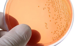 Фото: Профилактика гонореи