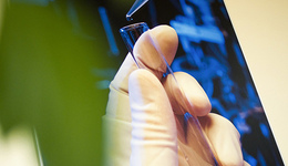 Фото: Чесотка у человека