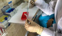 Фото: Виды чесотки