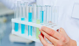 Фото: Симптомы чесотки