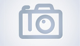 Фото: Пути передачи сифилиса